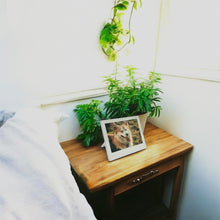 Load image into Gallery viewer, NEW!!! EZ Sign 4.2" E-Paper Digital Signage with Cable (White)