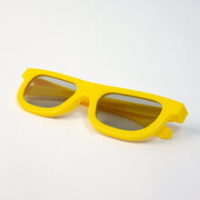 Load image into Gallery viewer, Polarized 3D Eyewear [Linear Polarized] -Durable Plastic Frame (Foldable Type Design)
